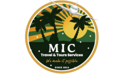 MIC Travel & Tours Services logo