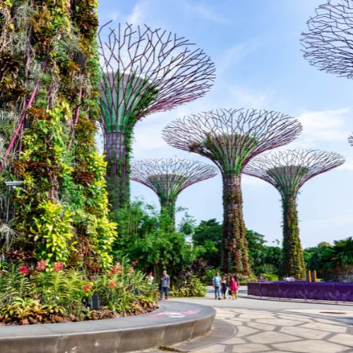 Plan & Package for Singapore | MIC Travel and Tours Services